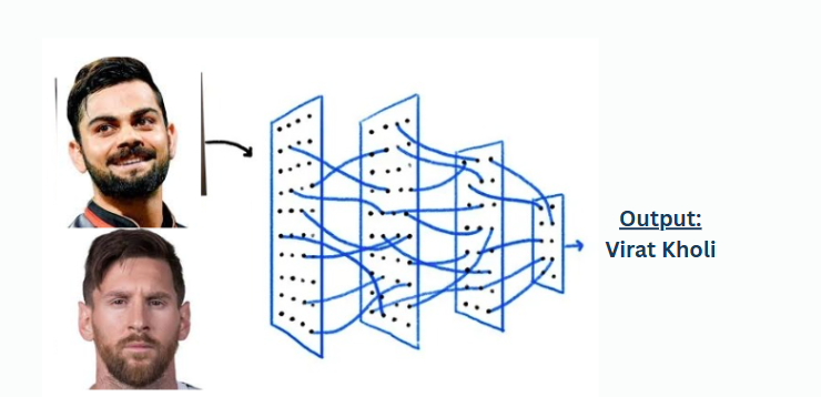 Image Classification